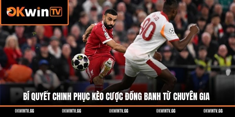Bí quyết chinh phục kèo cược đồng banh từ chuyên gia