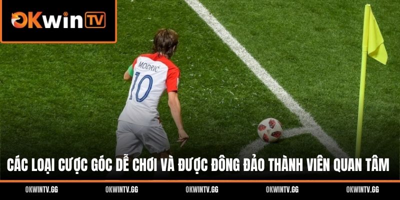 Các loại cược góc dễ chơi và được đông đảo thành viên quan tâm