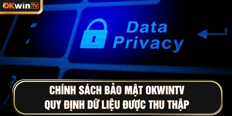 Chính sách bảo mật OKWINTV quy định dữ liệu được thu thập