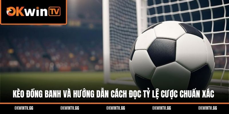 Kèo Đồng Banh Và Hướng Dẫn Cách Đọc Tỷ Lệ Cược Chuẩn Xác